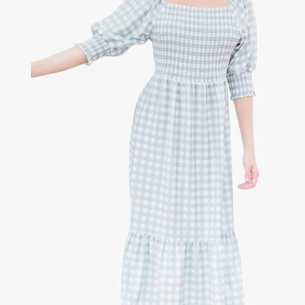 Michelle McDowell Gathered goods Nadia Dress M Medium Blue Gingham Smocked NWT